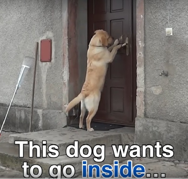 Extra image from article