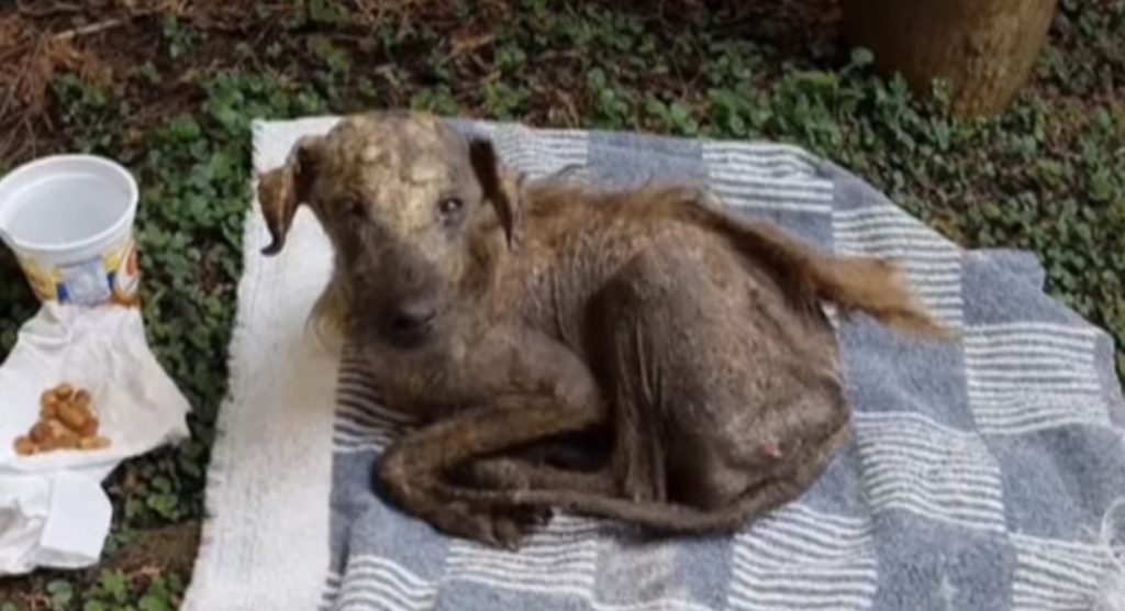 Hercules no longer needed to endure the ...