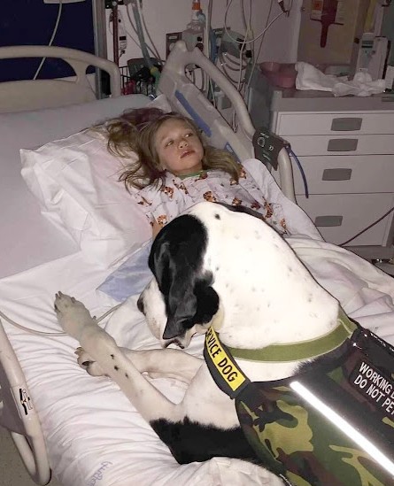 Thanks to George, Bella now enjoys a mor...