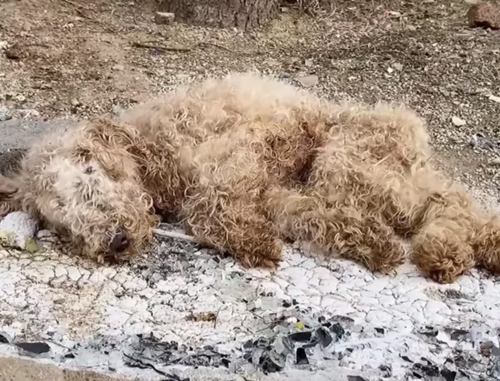 Struggling to breathe and unable to move...