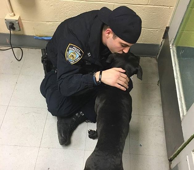 Joey quickly transformed from a soggy st...