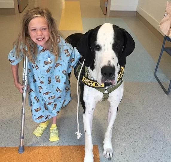 Extra image from article