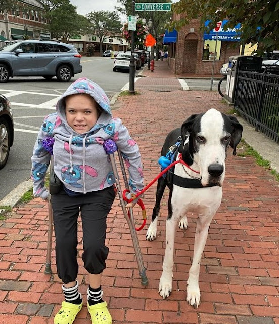 Extra image from article