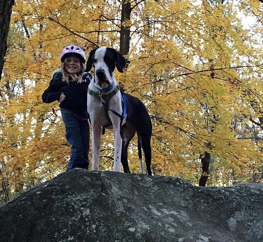 Extra image from article