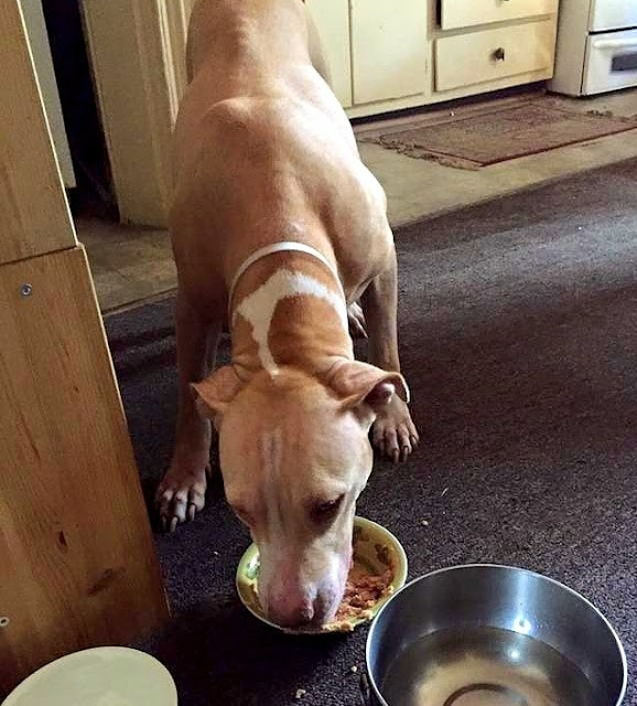 Betsey was clearly in need of care. Her ...