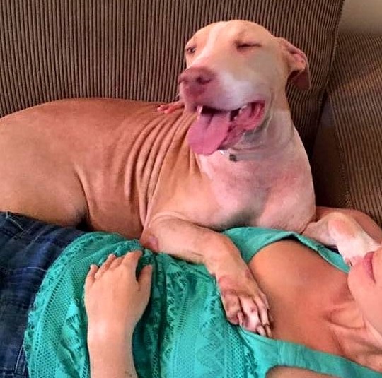 Extra image from article