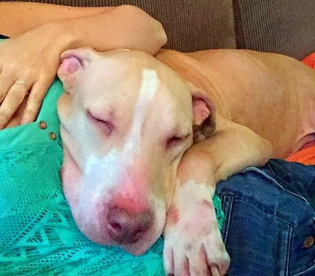 Extra image from article