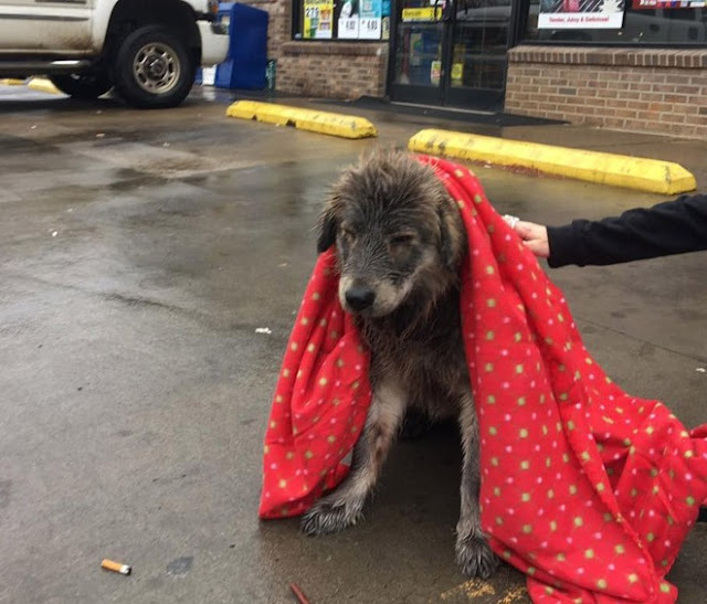 Extra image from article