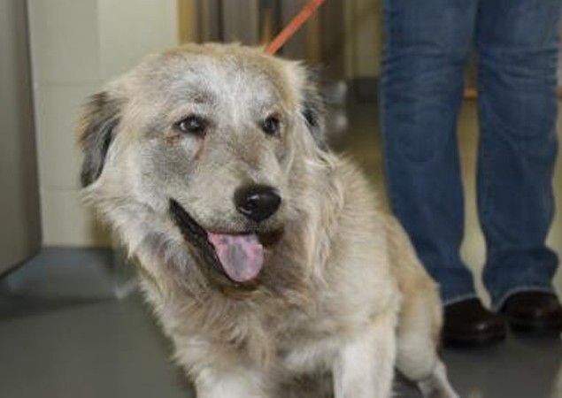 Extra image from article