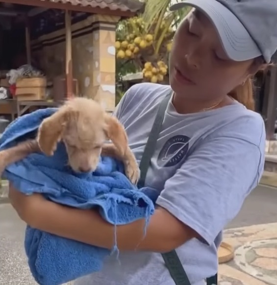 X-rays have shown that Ayla does not hav...