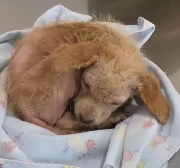 Extra image from article