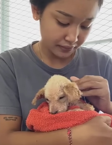 Extra image from article