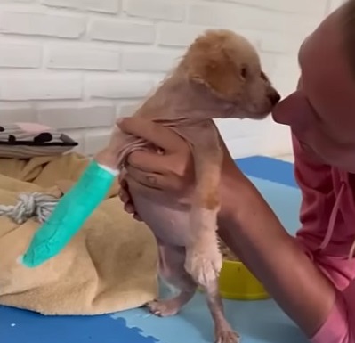 Extra image from article