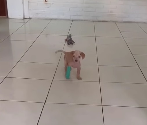 Extra image from article