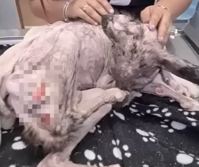 Extra image from article