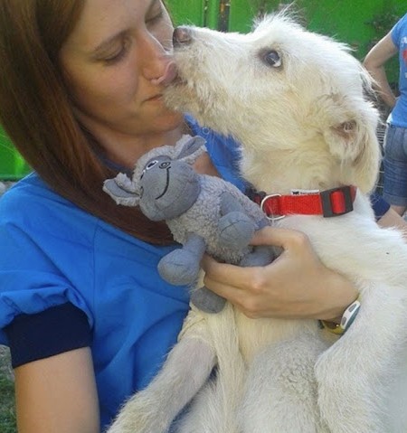 Extra image from article