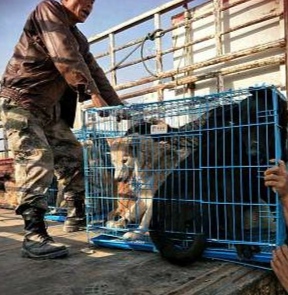 After paying the seller, the gang took t...