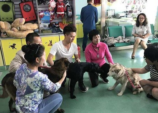 Mr Wang stated that the hospital was car...