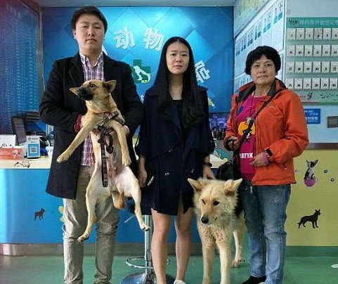 Extra image from article