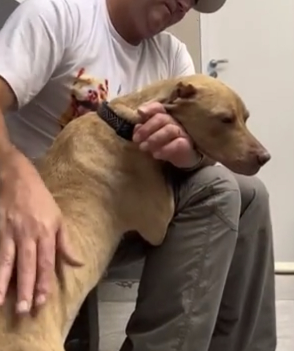 Elena’s story of resilience underscores ...