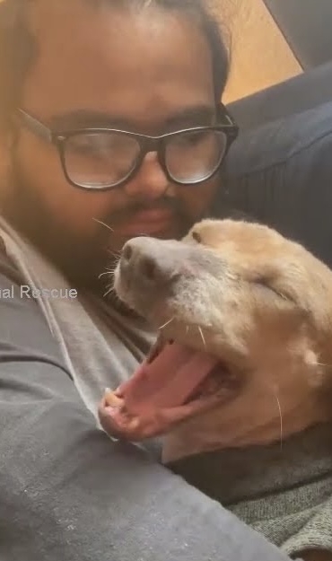 Extra image from article