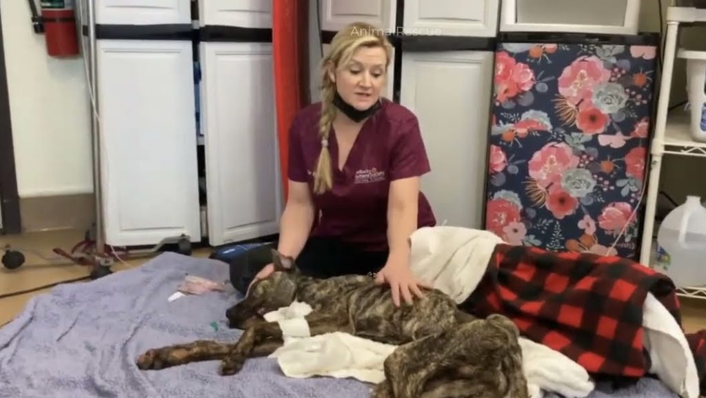 As the team cared for Ethan, the extent ...