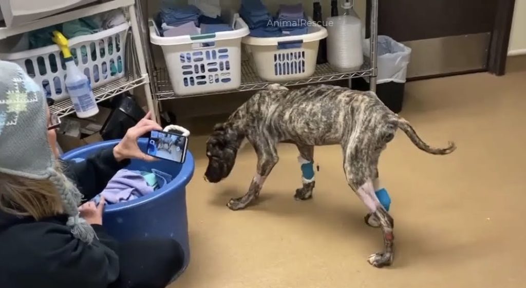 Ethan's journey is a testament to resili...