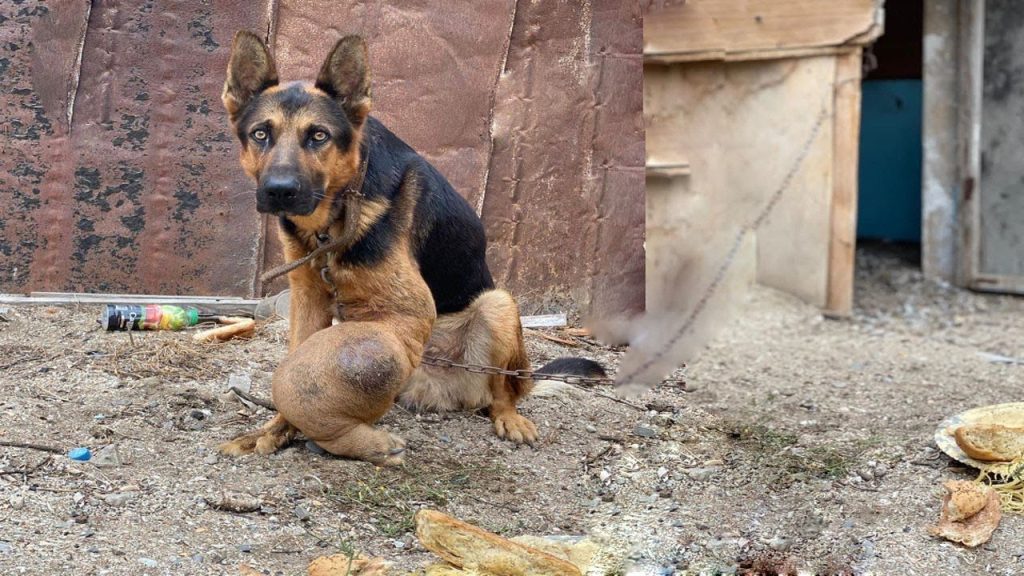 Jordan's struggles were not only physica...