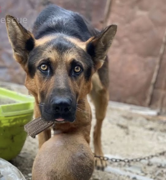 Fortunately, Jordan's story took a hopef...