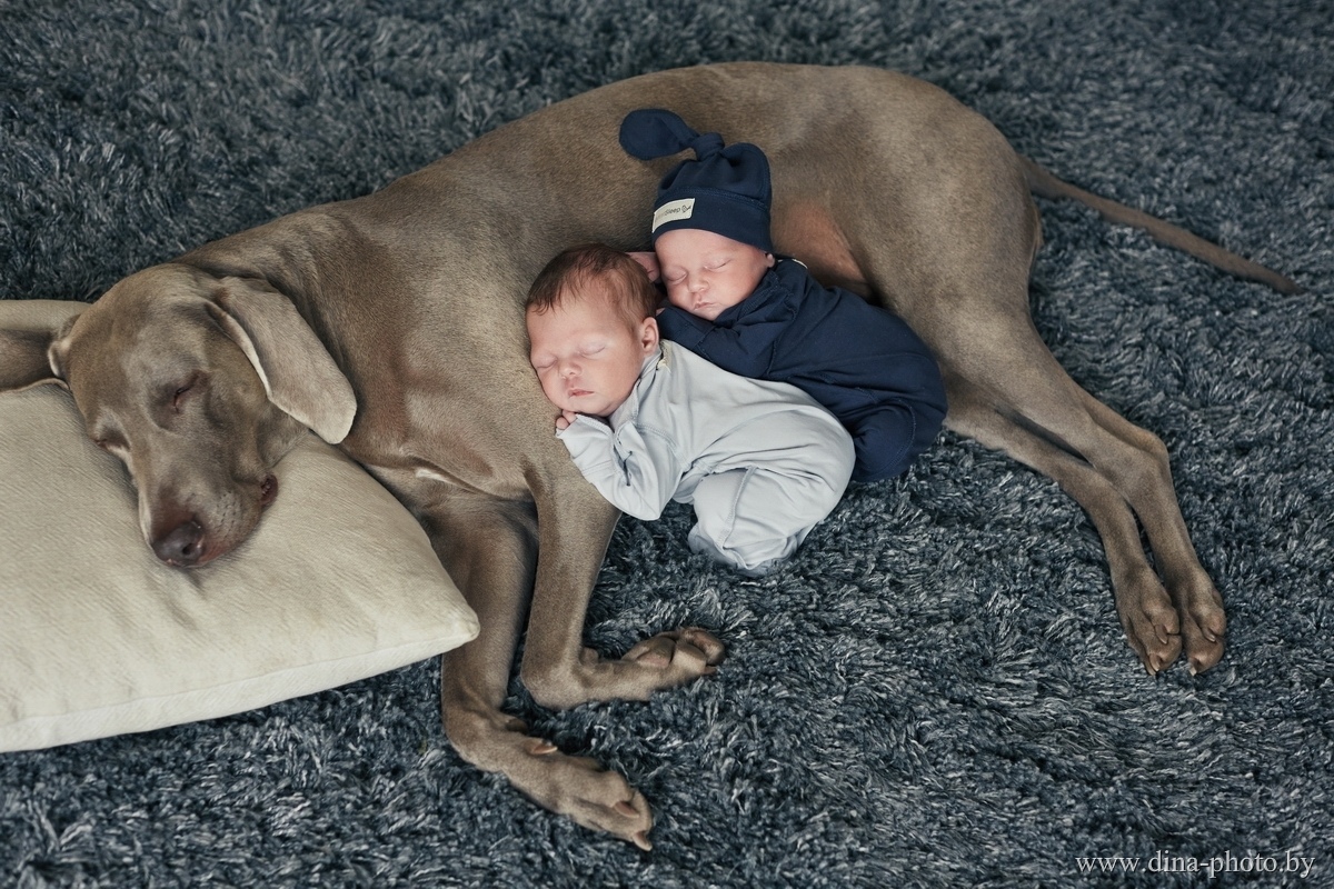 Extra image from article