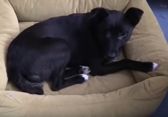 Extra image from article