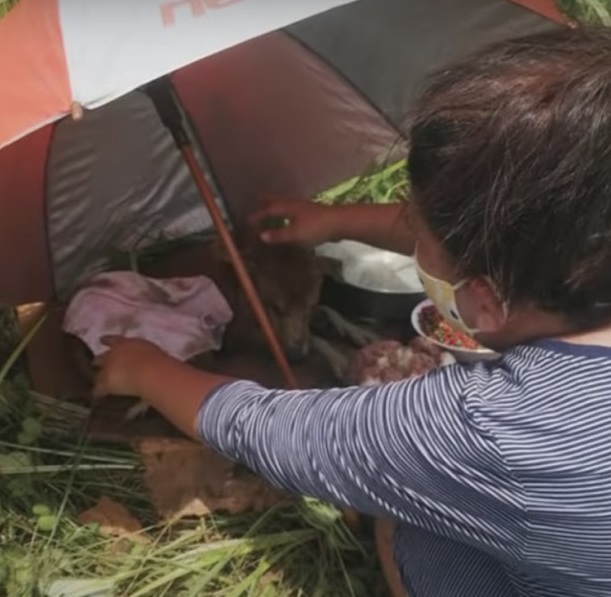 This story of resilience and human kindn...