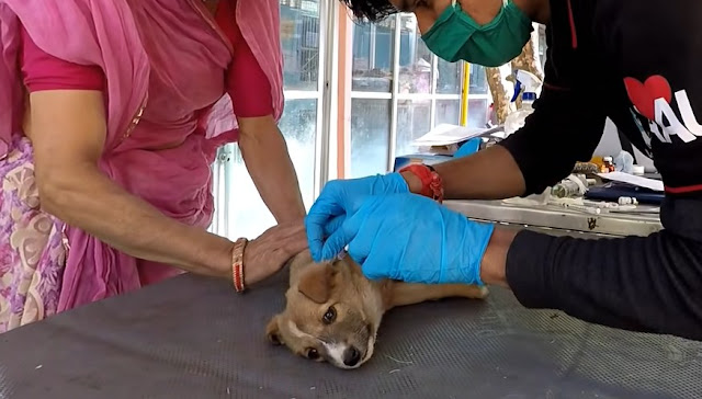 It took some time to get her back up and...