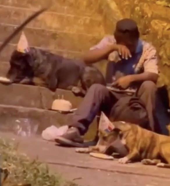 Extra image from article