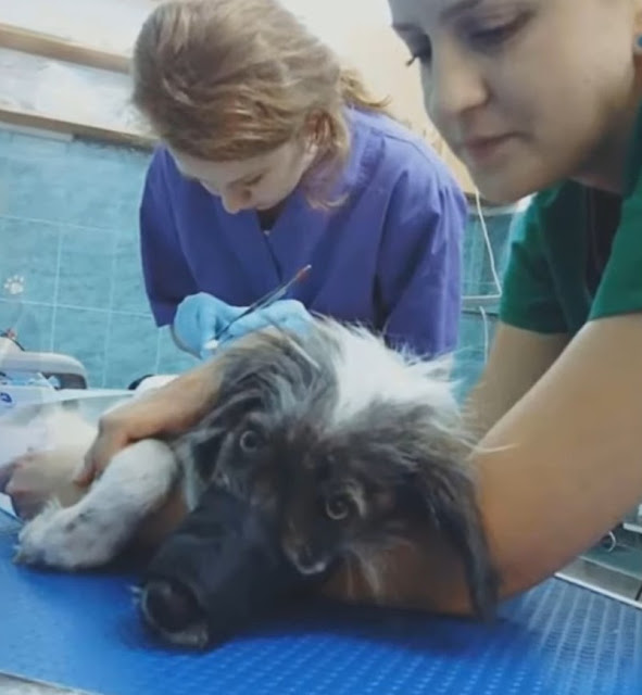 Extra image from article