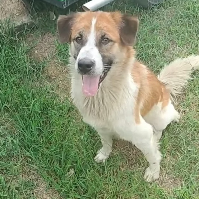 Extra image from article