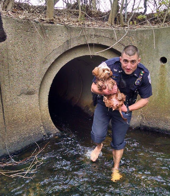 Removing his shoes and socks, Officer Br...