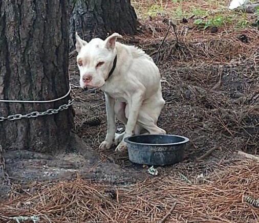 Hero's new life included simple comforts...