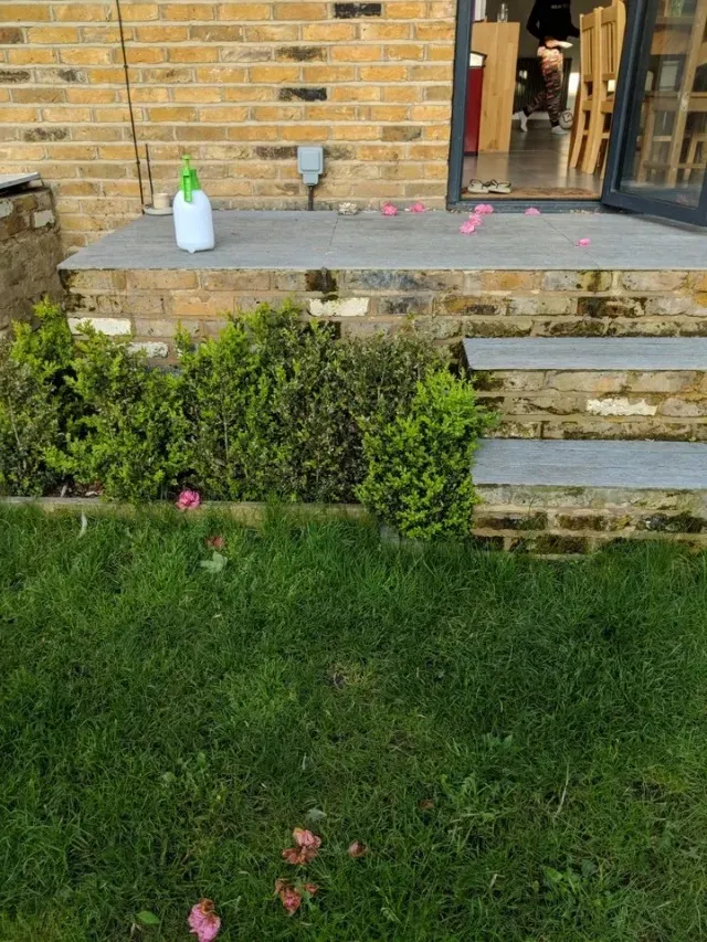 Extra image from article