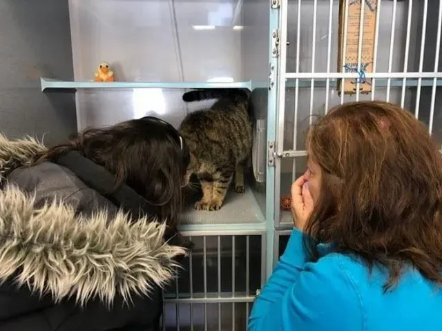 Extra image from article