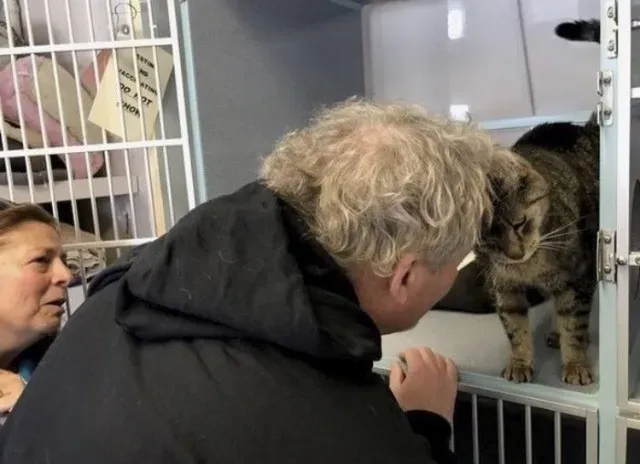 Extra image from article