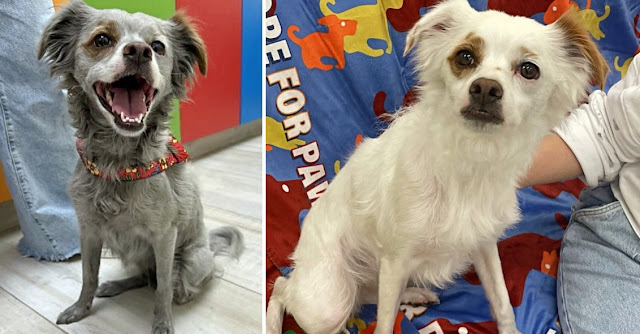 Extra image from article