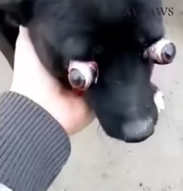 But the most remarkable part of his jour...