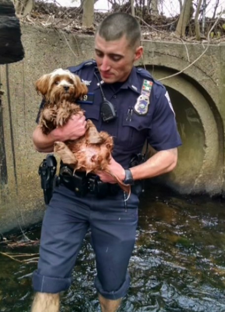 This incredible rescue story serves as a...