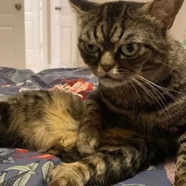 Extra image from article