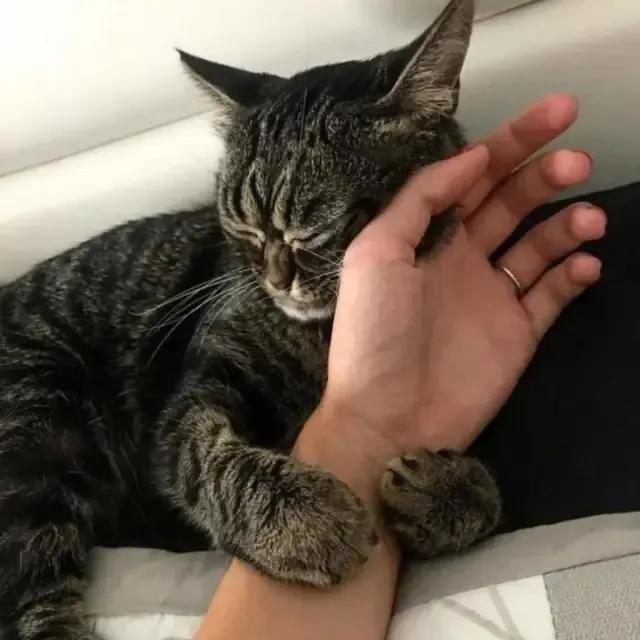 Extra image from article