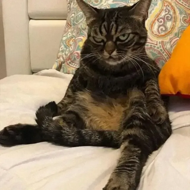 Extra image from article