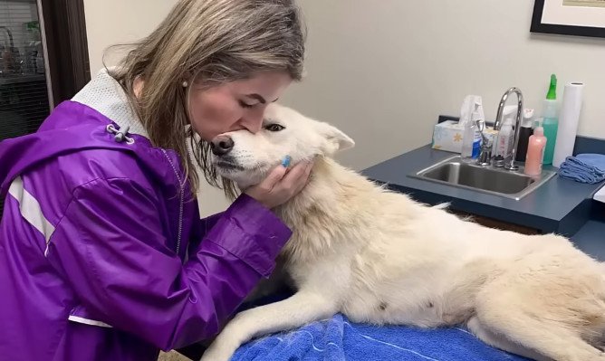 Four days into her recovery, Angel's spi...