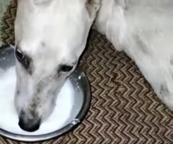 Extra image from article