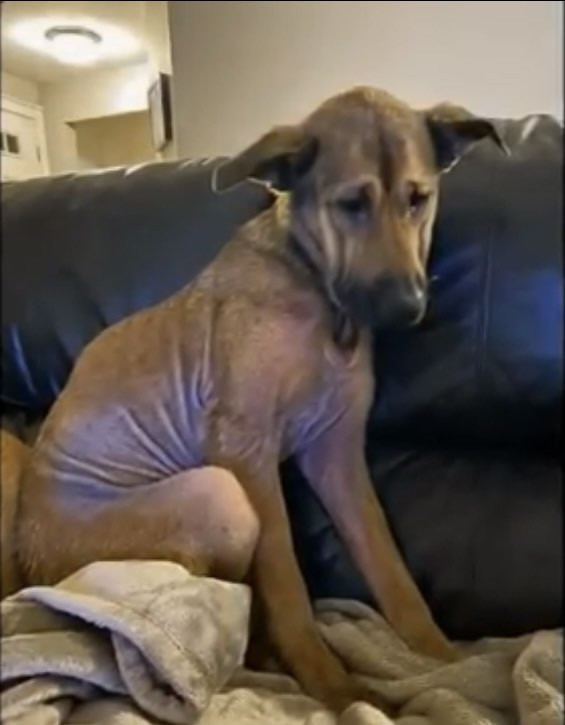 The changes that followed his rescue wer...